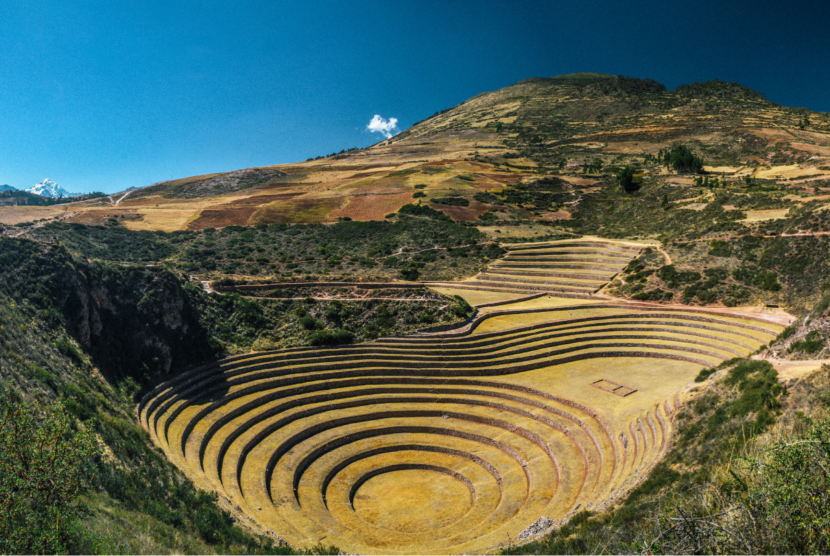 Maras Moray